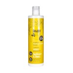 Botanic Leaf Szampon do Suchych Włosów Sunflower & Honey  250 ml